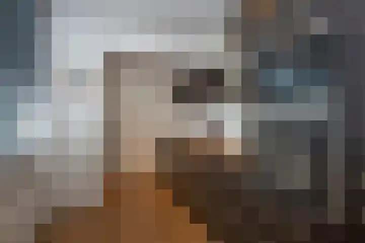 Ruijsdaelstraat 3 Hengelo thumbnail 13