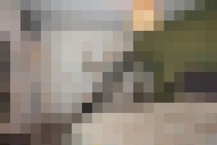 Ruijsdaelstraat 3 Hengelo thumbnail 17