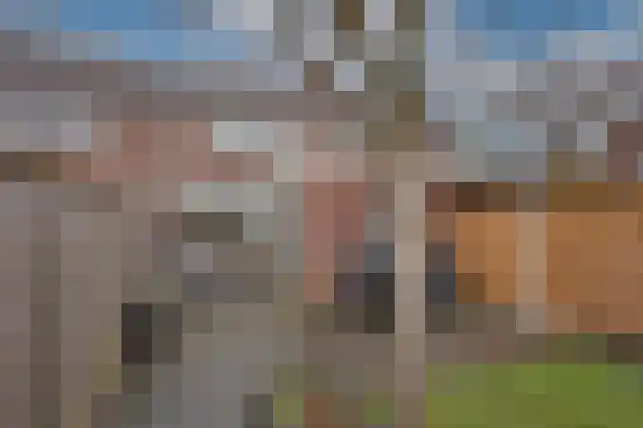 Ruijsdaelstraat 3 Hengelo thumbnail 26