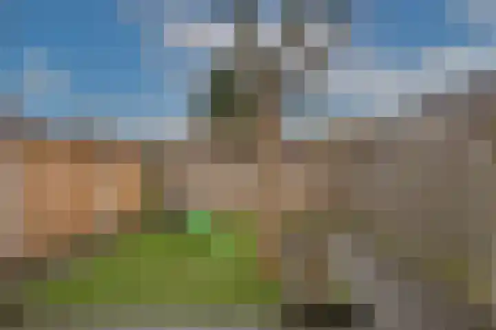 Ruijsdaelstraat 3 Hengelo thumbnail 4