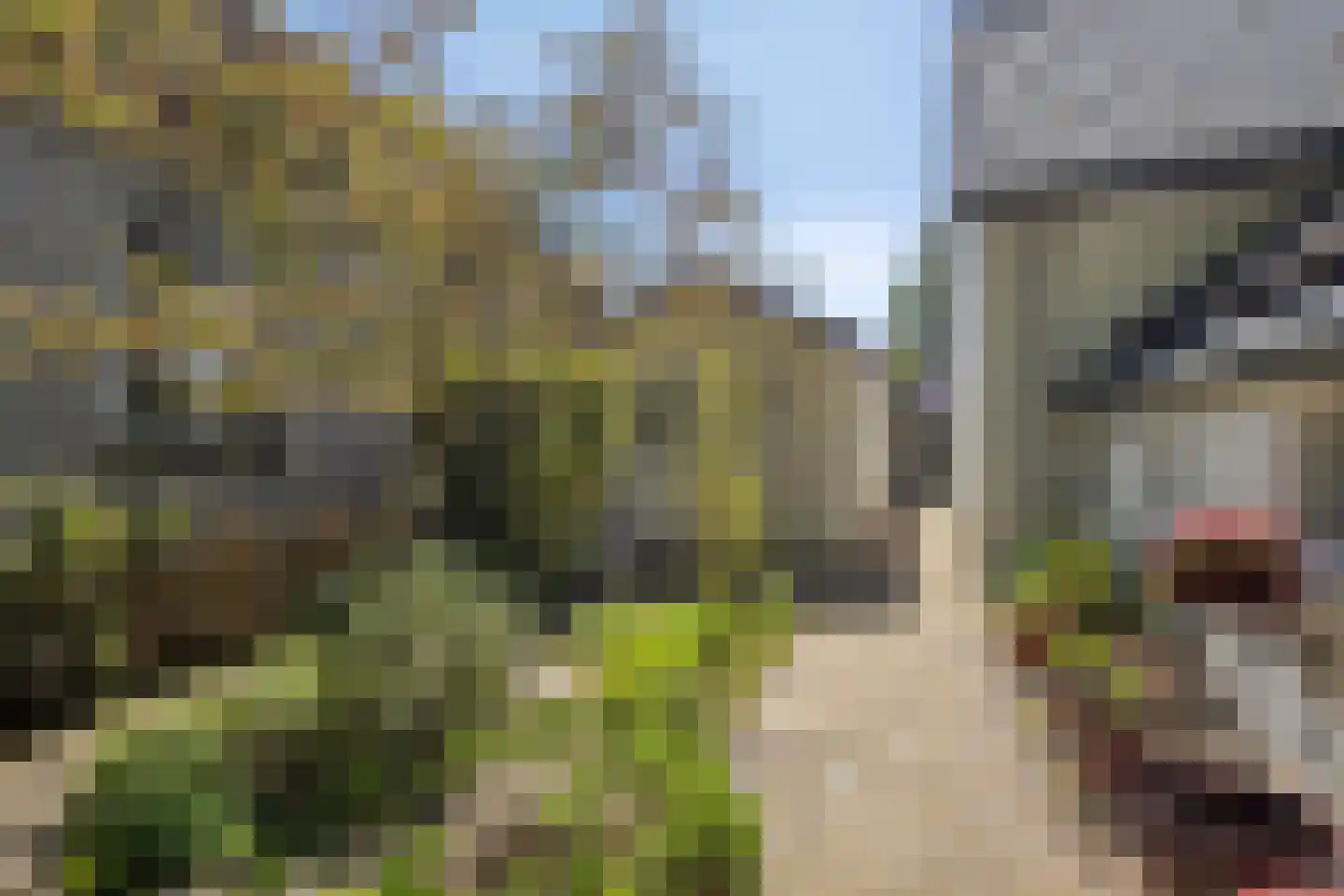 Ruijsdaelstraat 44 Millingen aan de Rijn thumbnail 60