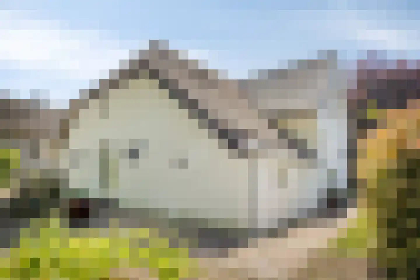 Ruijsdaelstraat 44 Millingen aan de Rijn thumbnail 65
