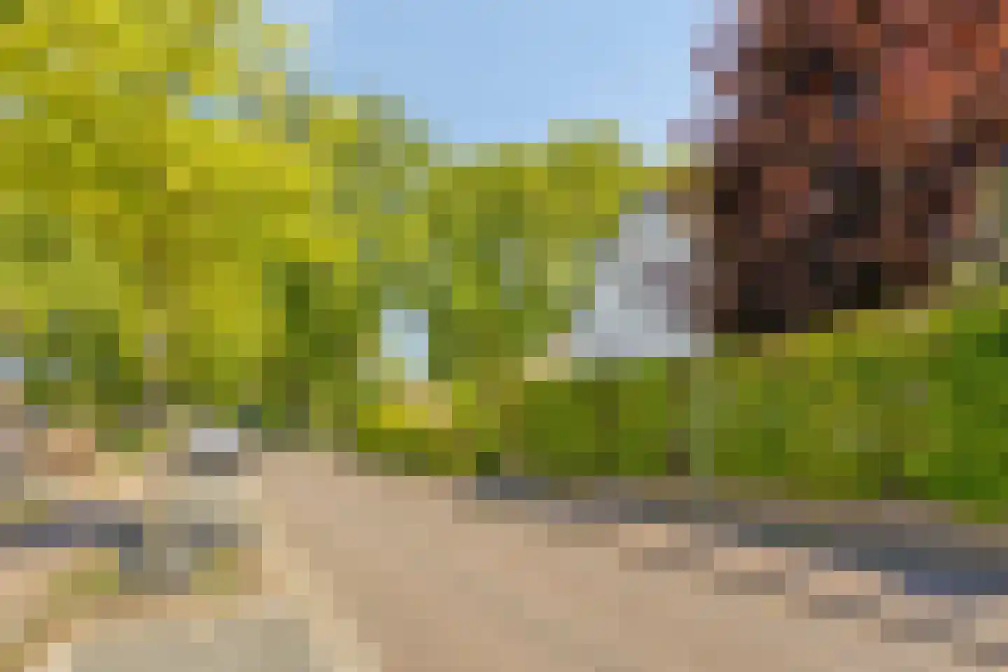 Ruijsdaelstraat 44 Millingen aan de Rijn thumbnail 87