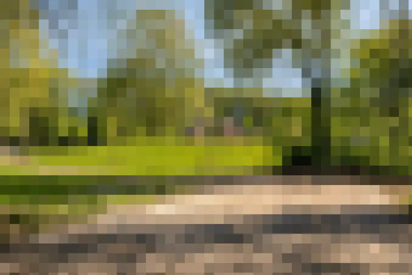 Ruijsdaelstraat 44 Millingen aan de Rijn thumbnail 93