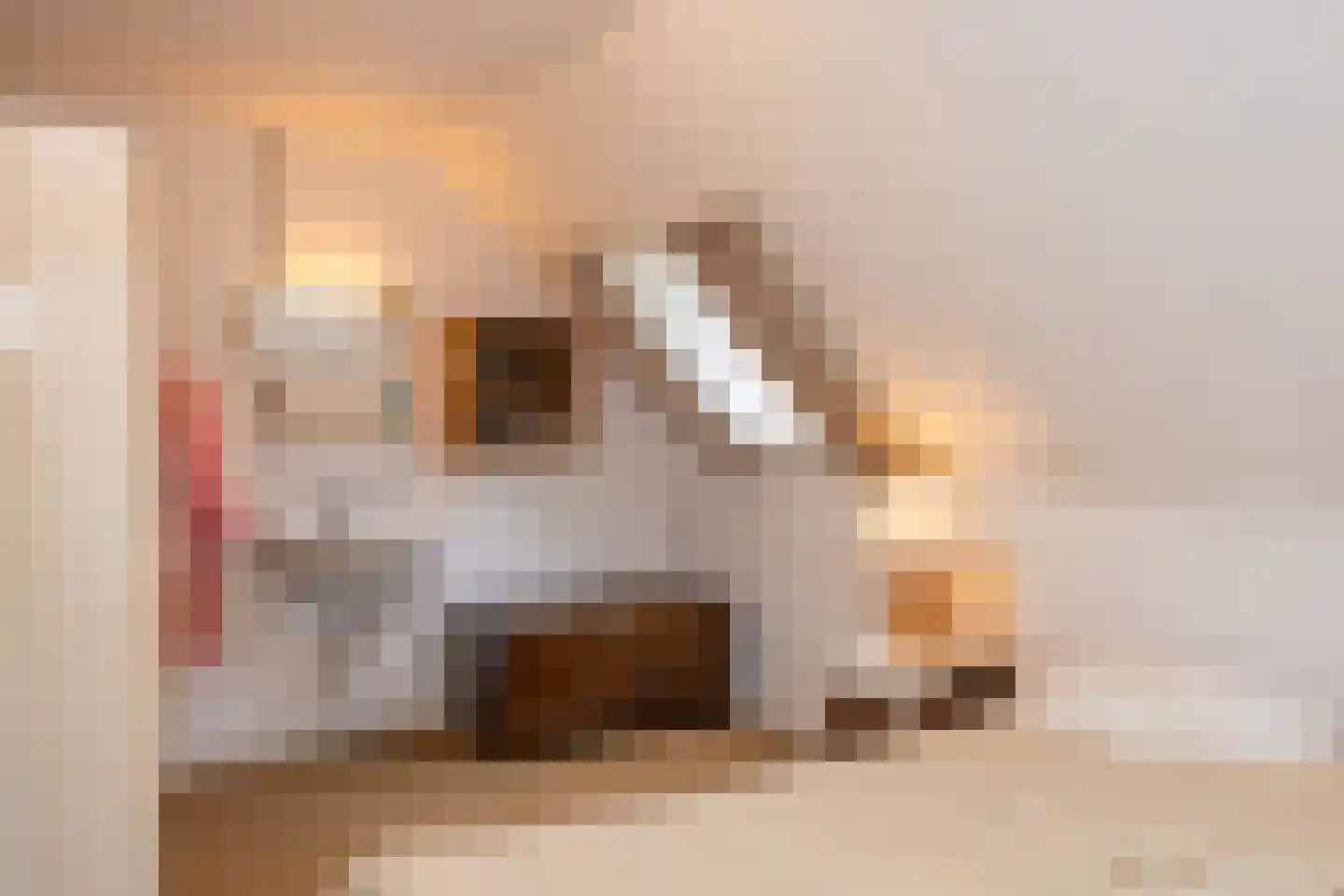 Ruijslaan 27 De Koog thumbnail 17