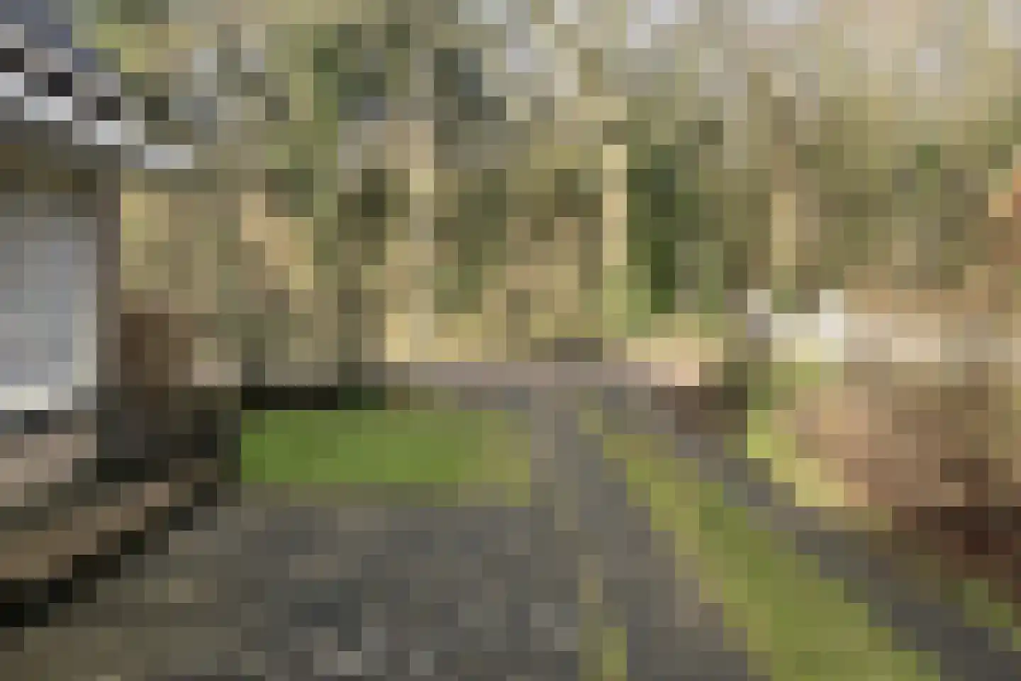 Ruijslaan 27 De Koog thumbnail 30