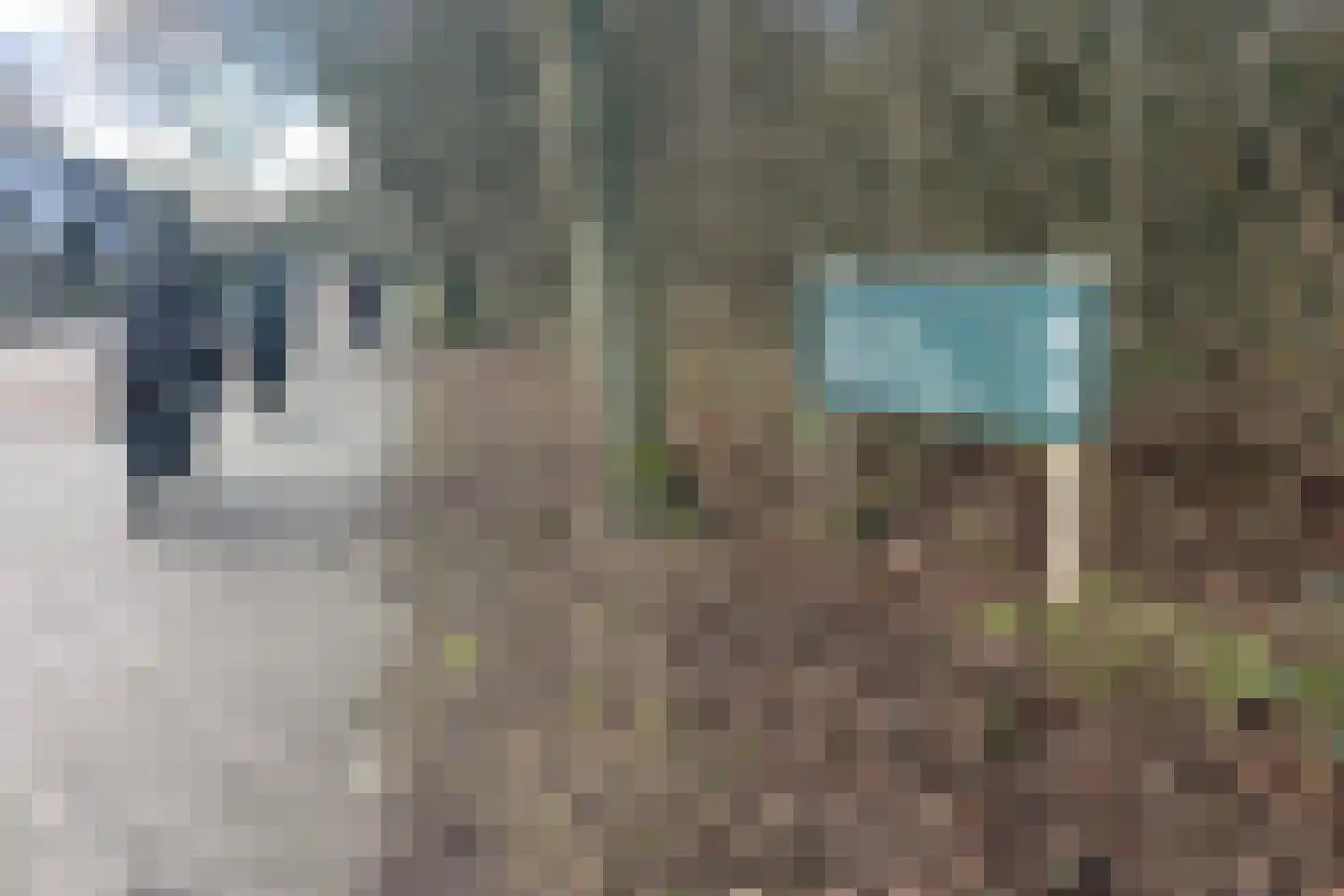 Ruijslaan 27 De Koog thumbnail 31