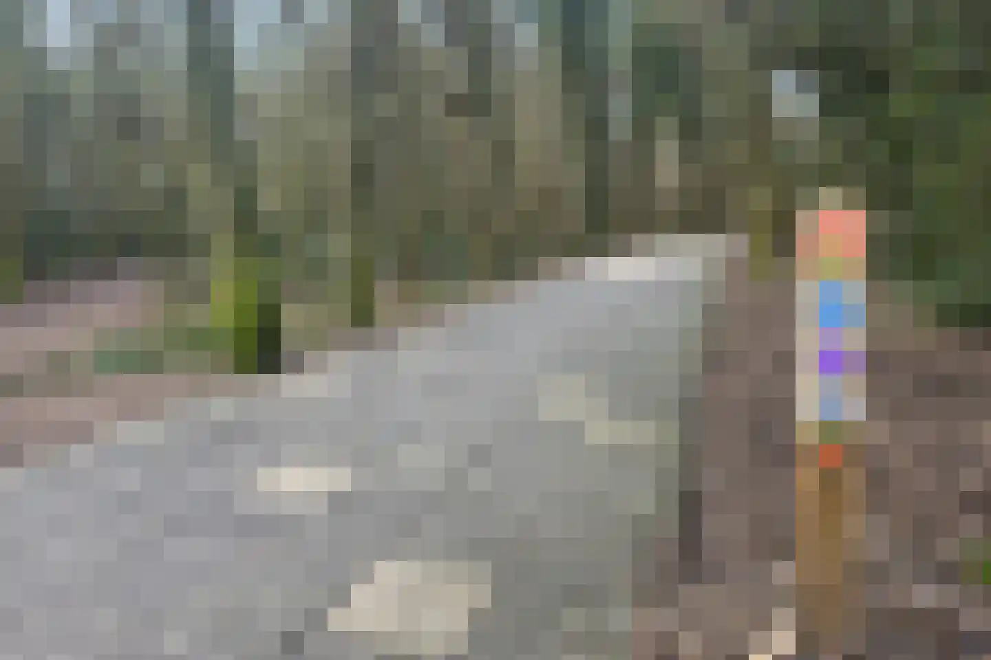 Ruijslaan 27 De Koog thumbnail 32