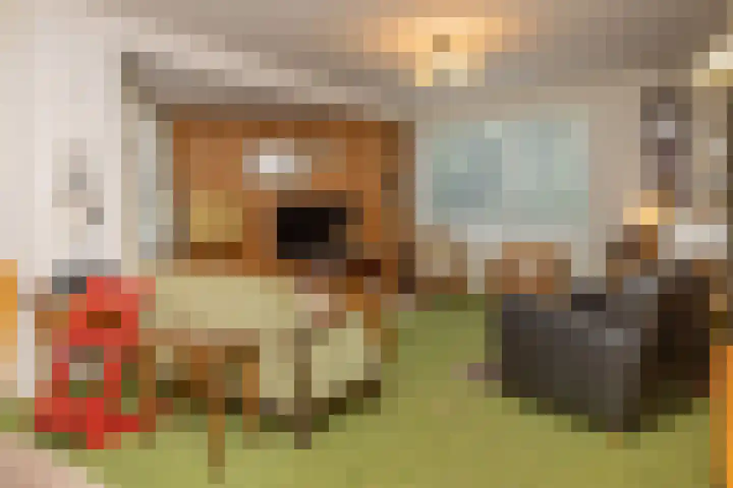 Ruijslaan 27 De Koog thumbnail 6