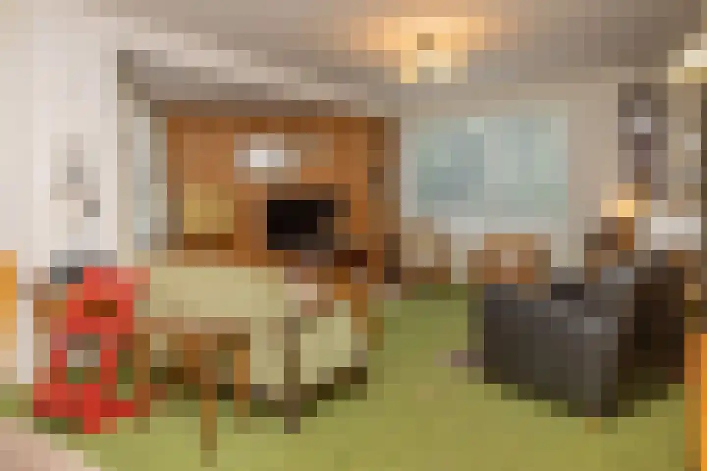Ruijslaan 27 De Koog thumbnail 6