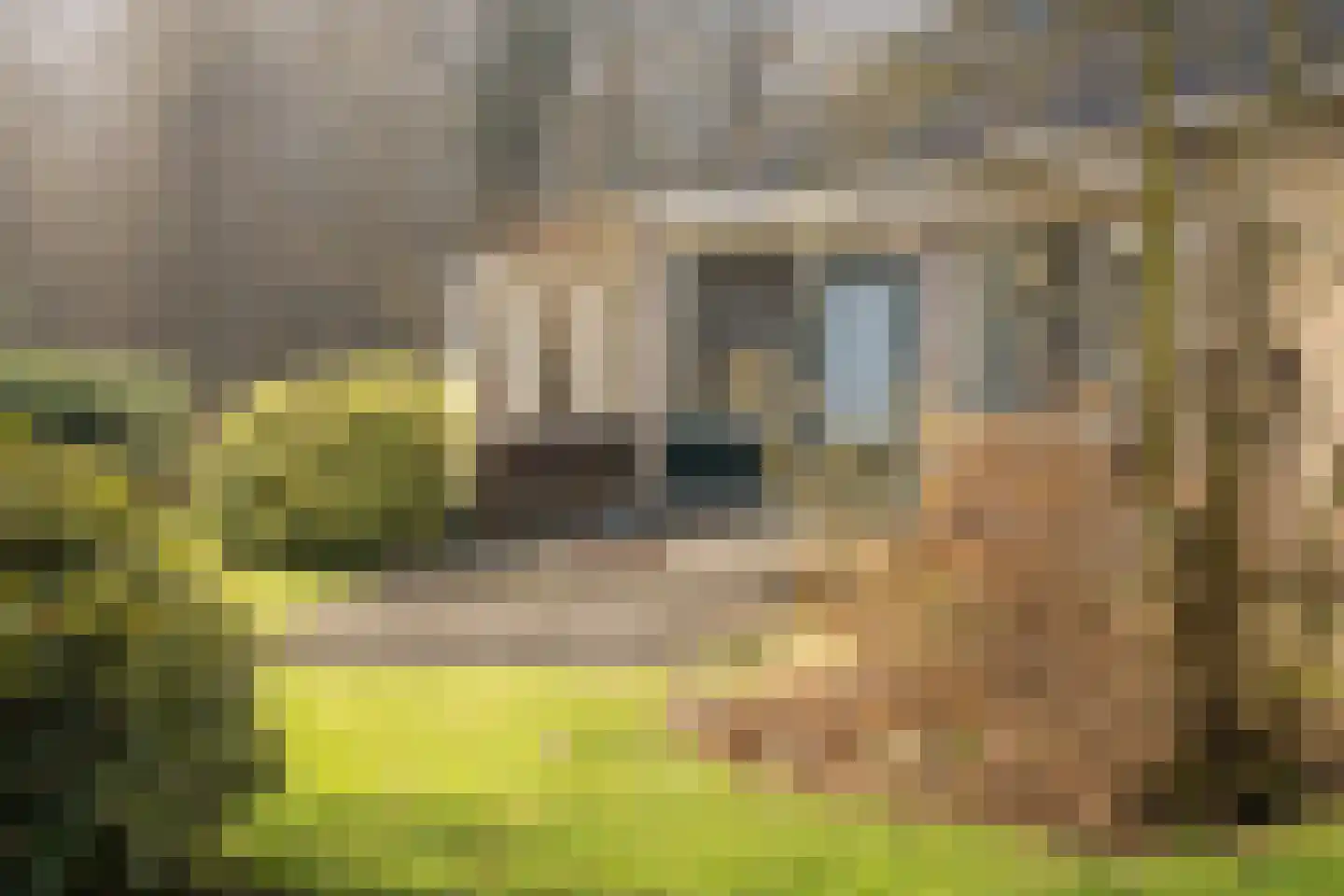 Ruijslaan 27 De Koog thumbnail 7