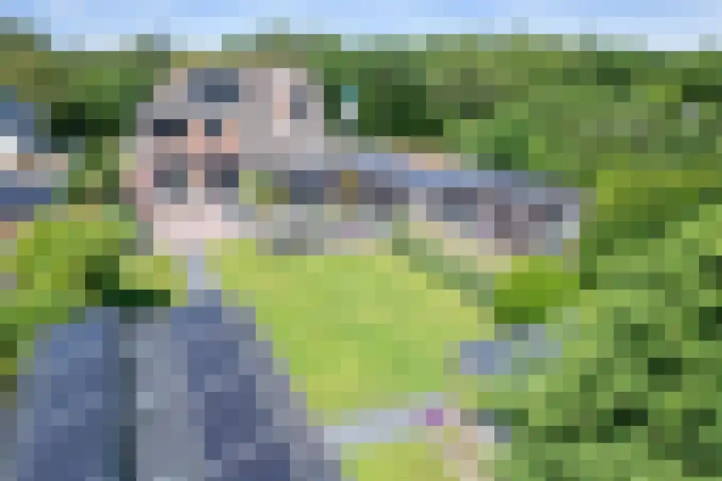 Ruijslaan 43 De Koog