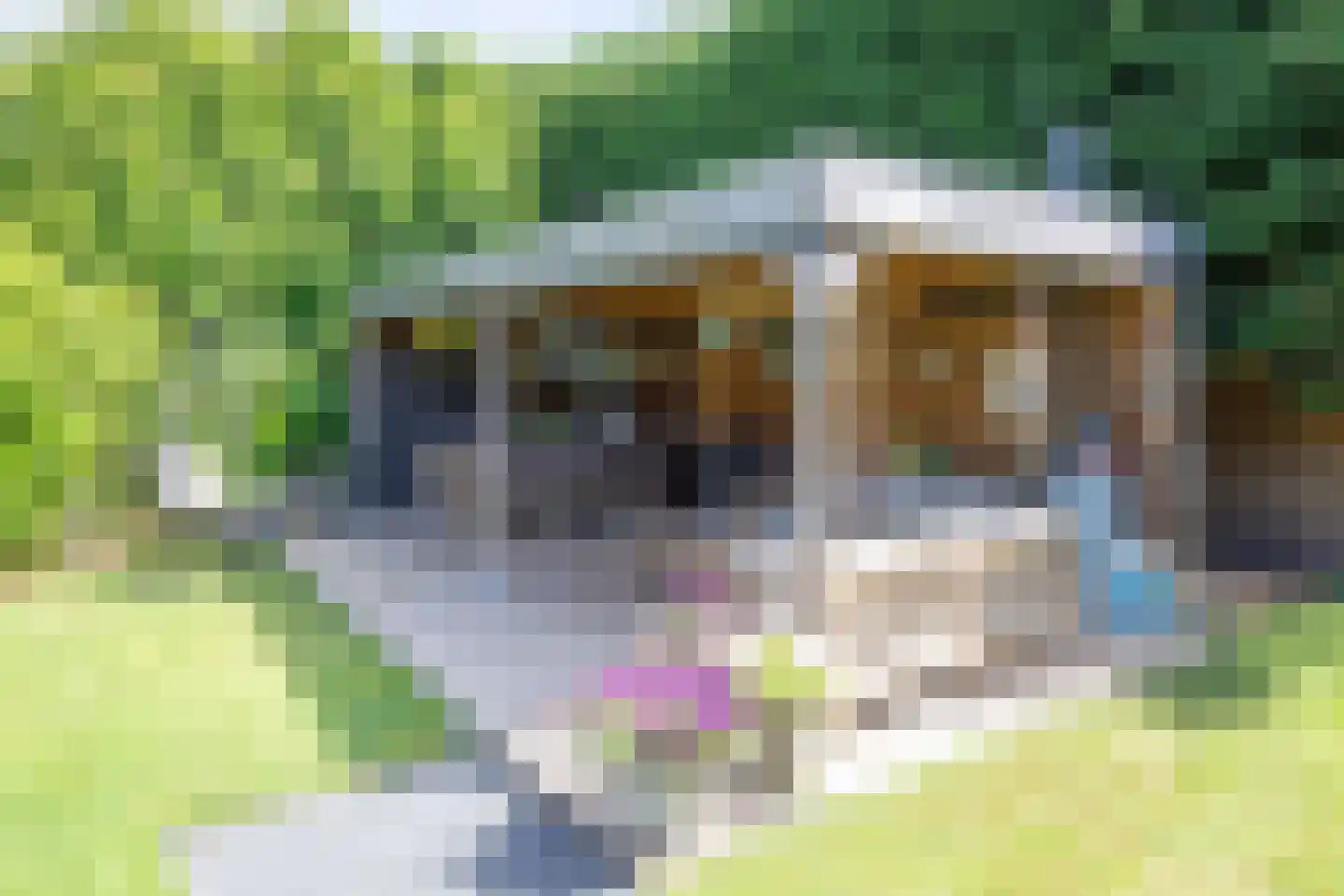 Ruijslaan 43 De Koog thumbnail 17