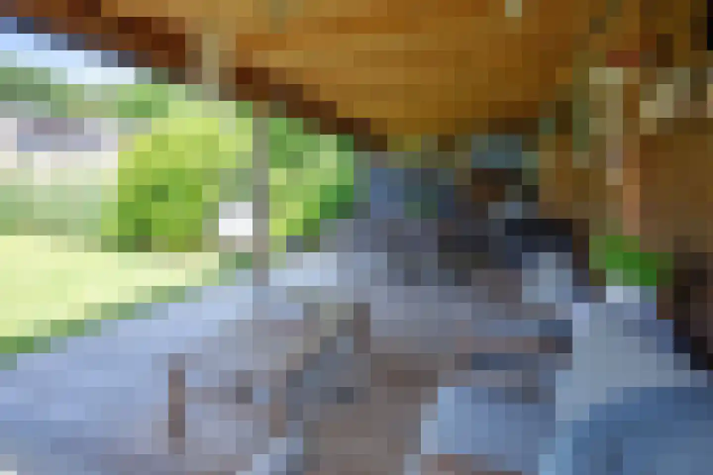 Ruijslaan 43 De Koog thumbnail 19
