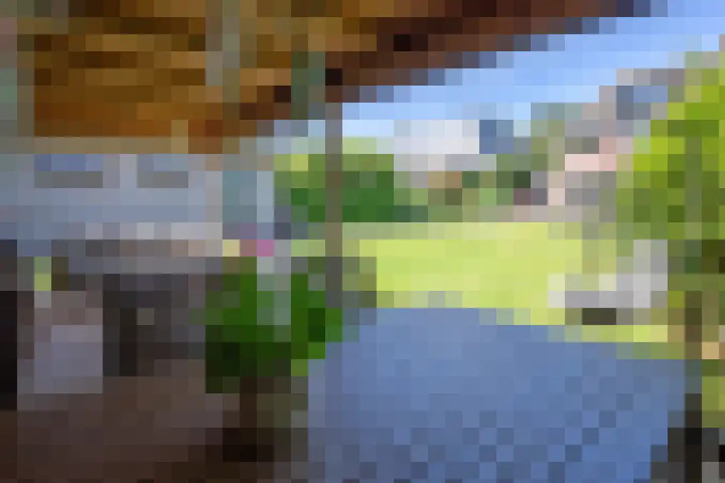 Ruijslaan 43 De Koog thumbnail 20