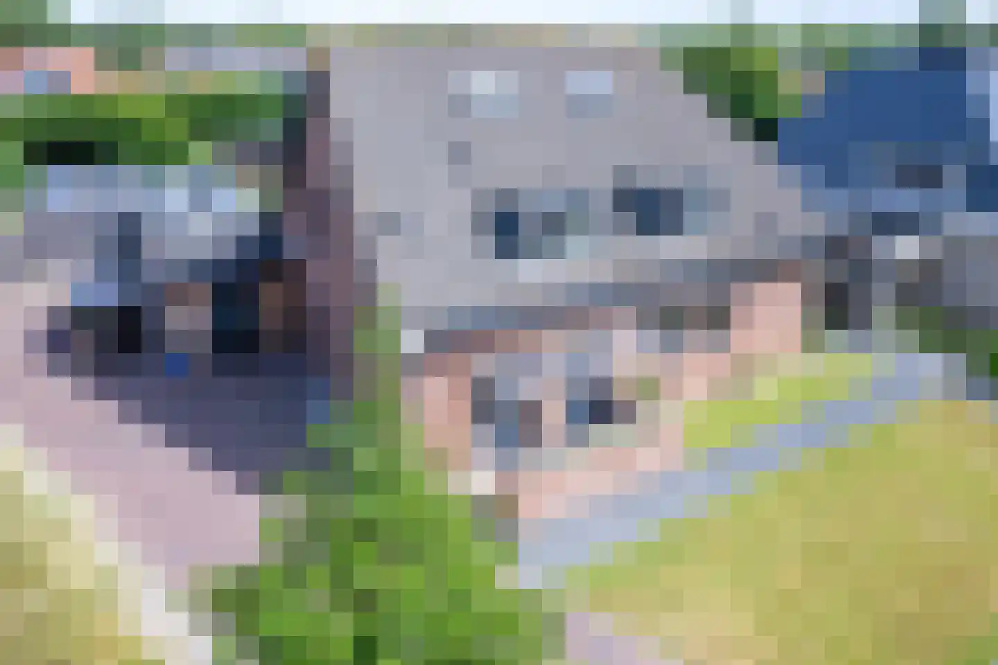 Ruijslaan 43 De Koog thumbnail 31