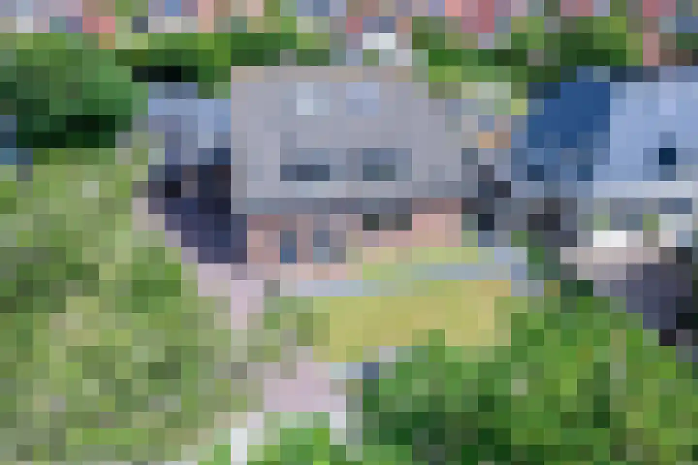 Ruijslaan 43 De Koog thumbnail 32