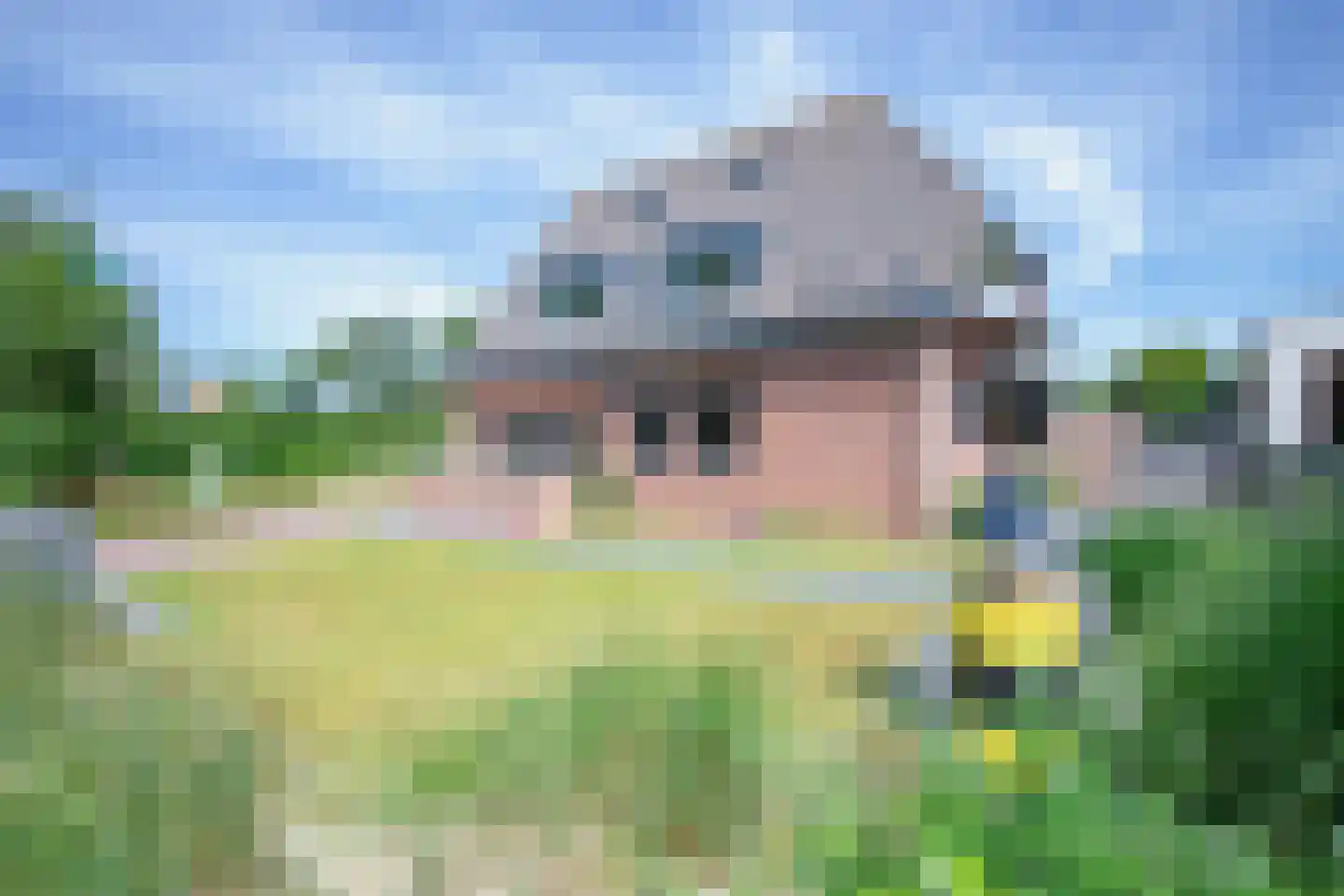 Ruijslaan 43 De Koog thumbnail 33