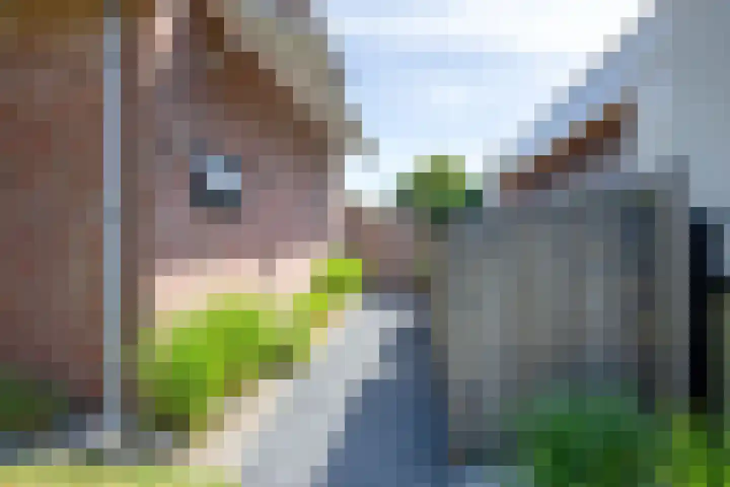 Ruijslaan 43 De Koog thumbnail 38