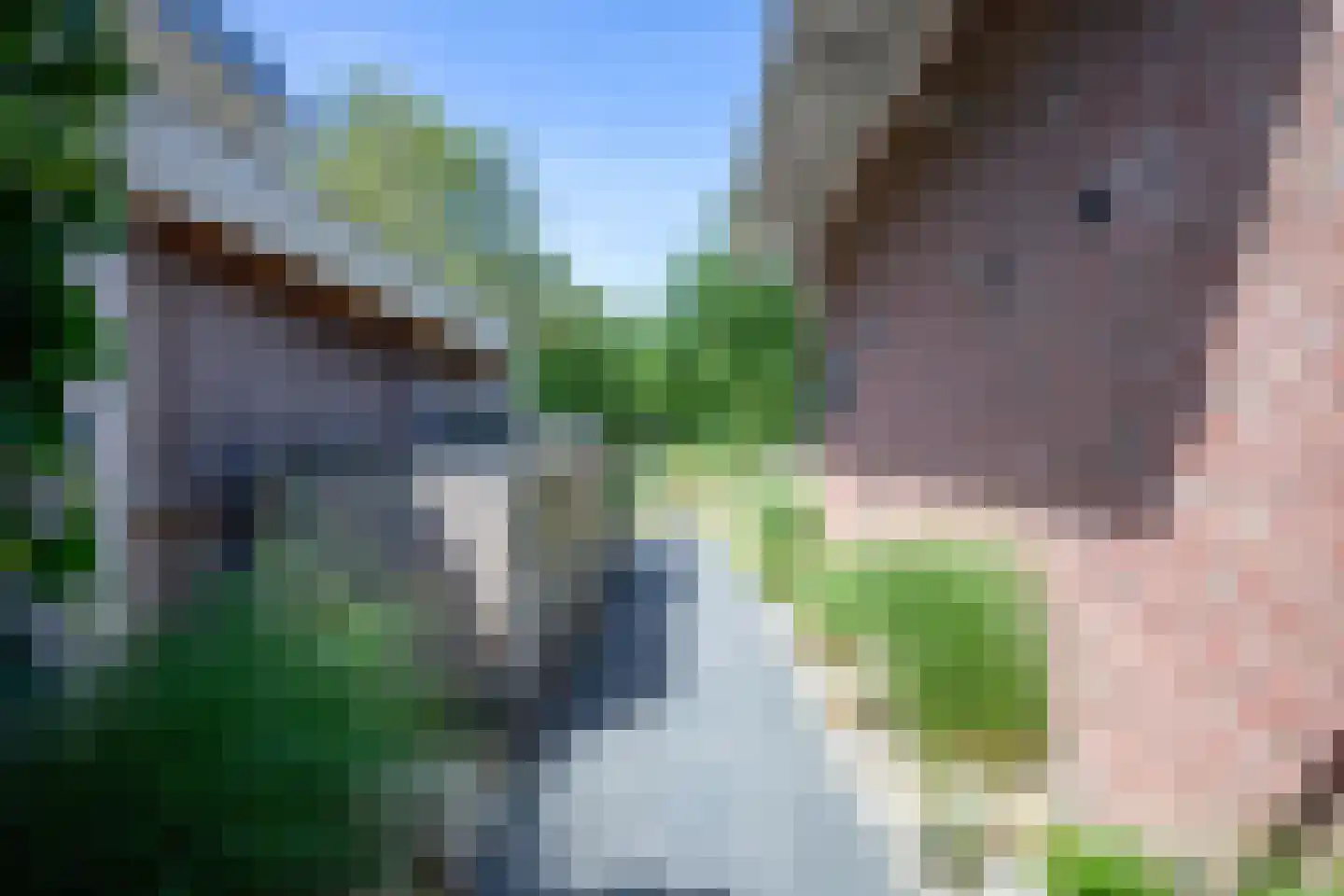Ruijslaan 43 De Koog thumbnail 39