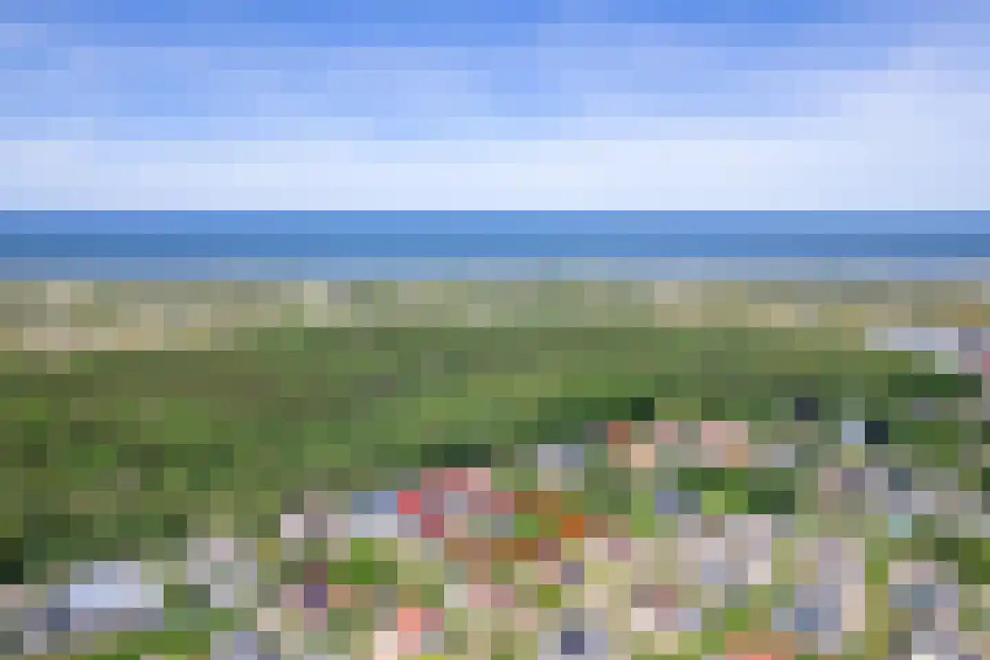 Ruijslaan 43 De Koog thumbnail 44