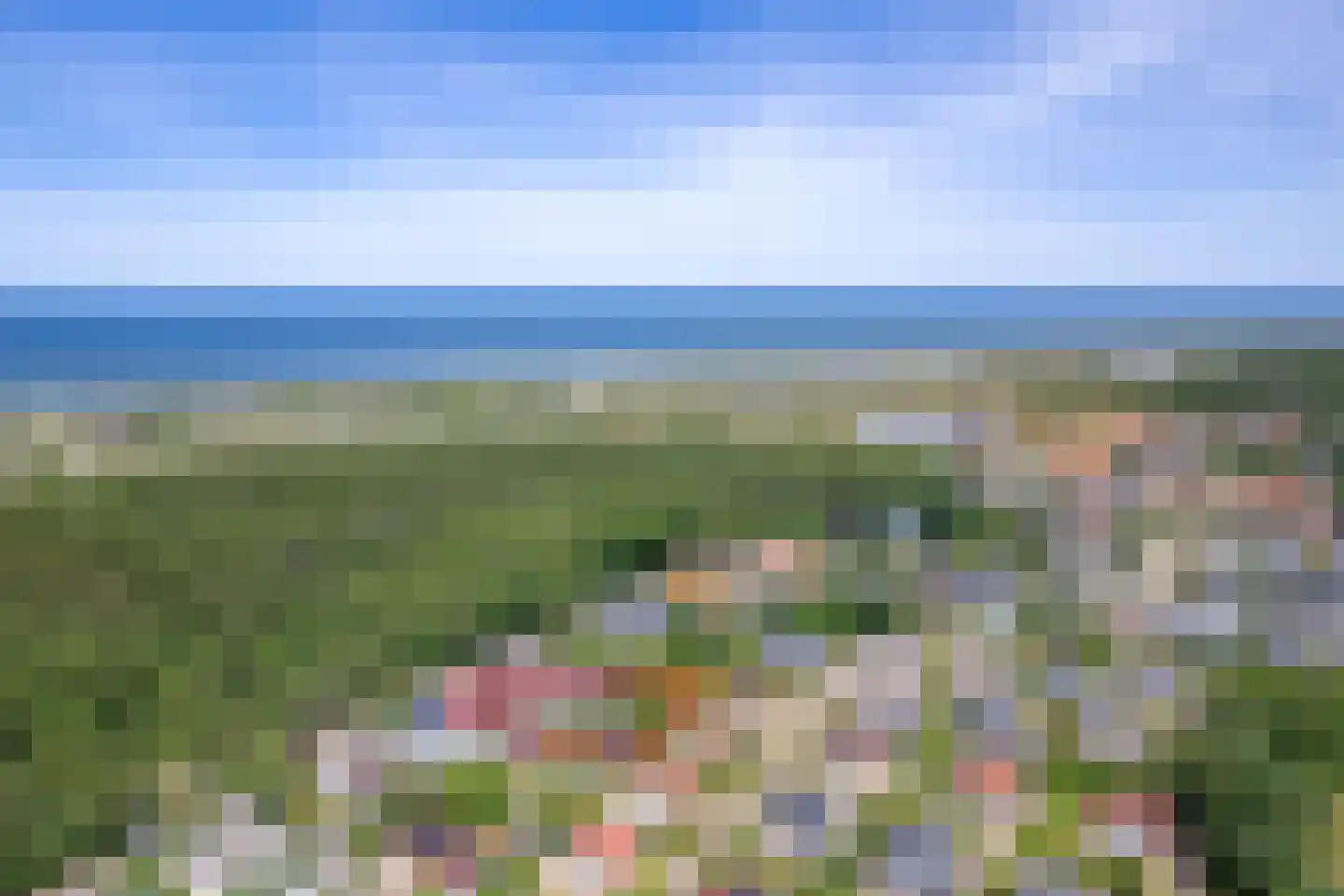 Ruijslaan 43 De Koog thumbnail 45
