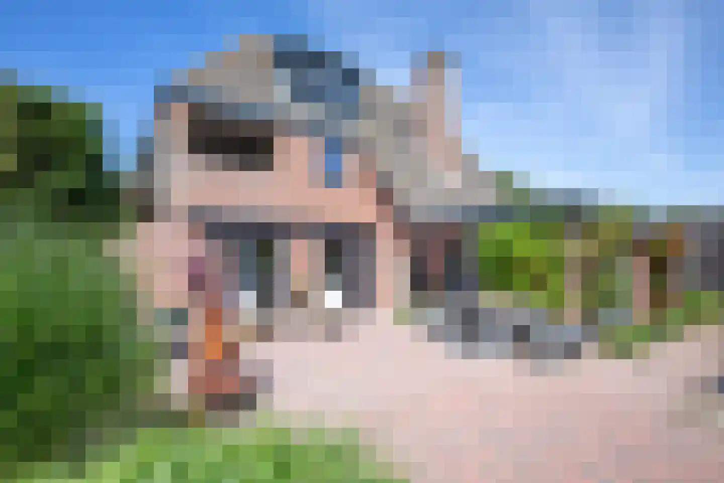 Ruijslaan 43 De Koog thumbnail 9