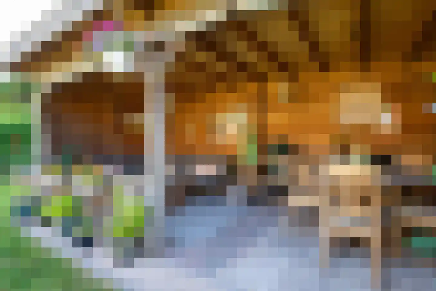 Ruijslaan 61 De Koog thumbnail 101