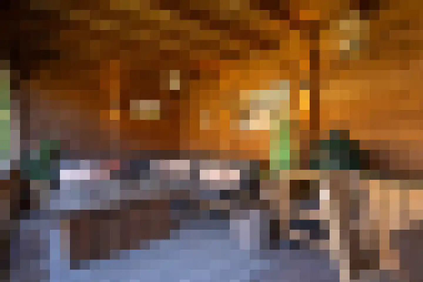 Ruijslaan 61 De Koog thumbnail 102