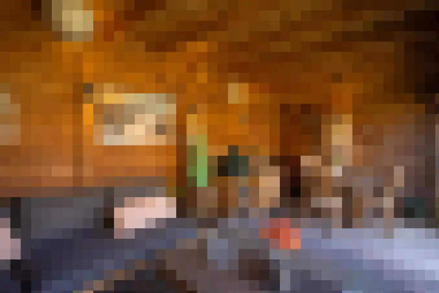 Ruijslaan 61 De Koog thumbnail 103