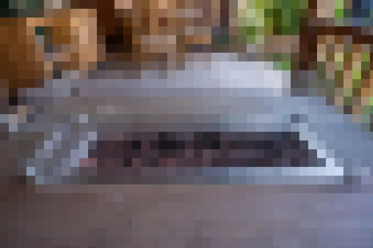 Ruijslaan 61 De Koog thumbnail 104