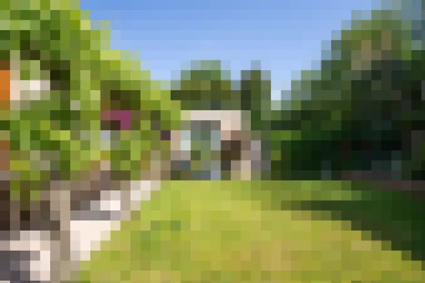 Ruijslaan 61 De Koog thumbnail 105