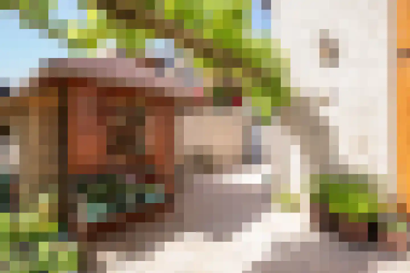 Ruijslaan 61 De Koog thumbnail 108