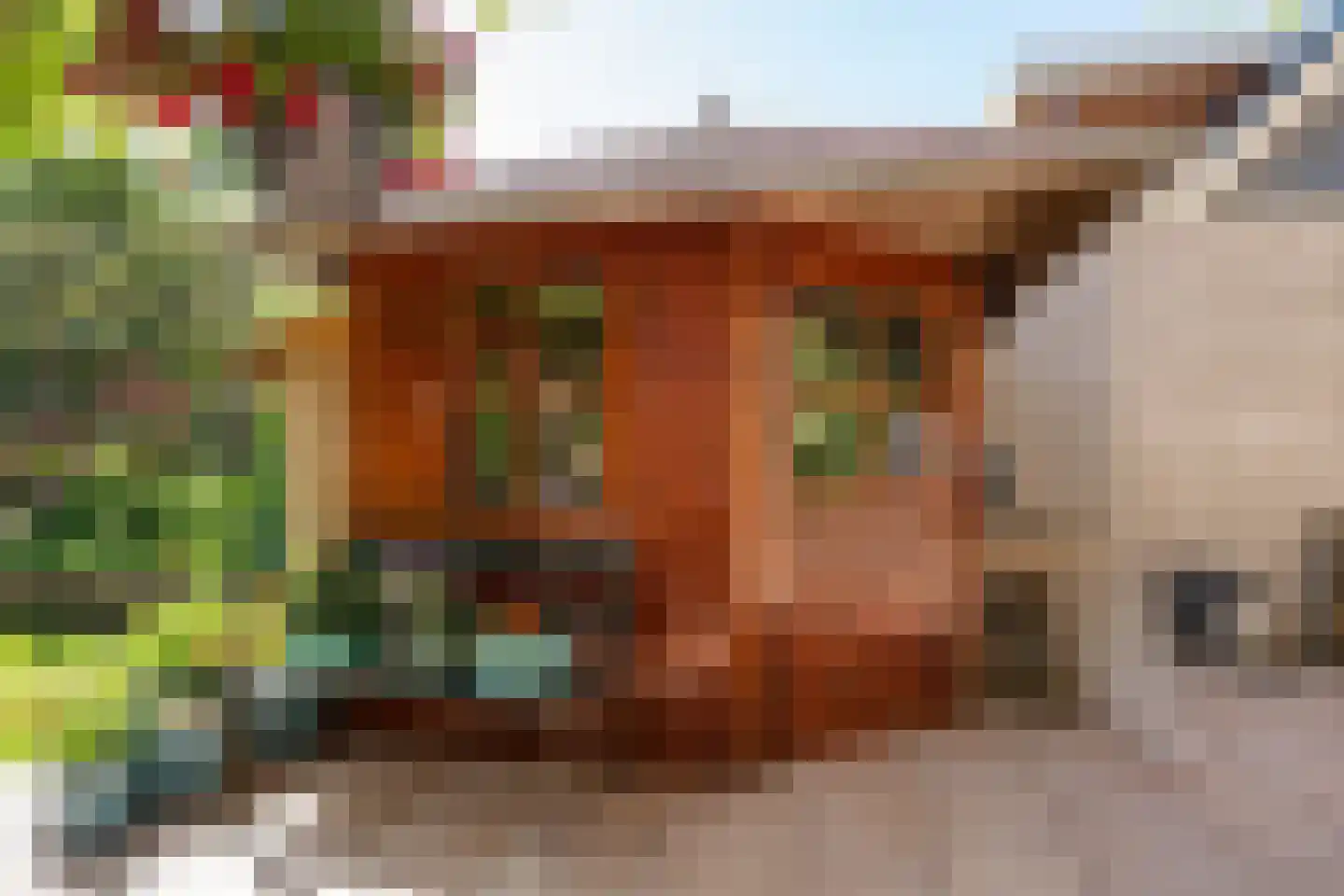 Ruijslaan 61 De Koog thumbnail 109