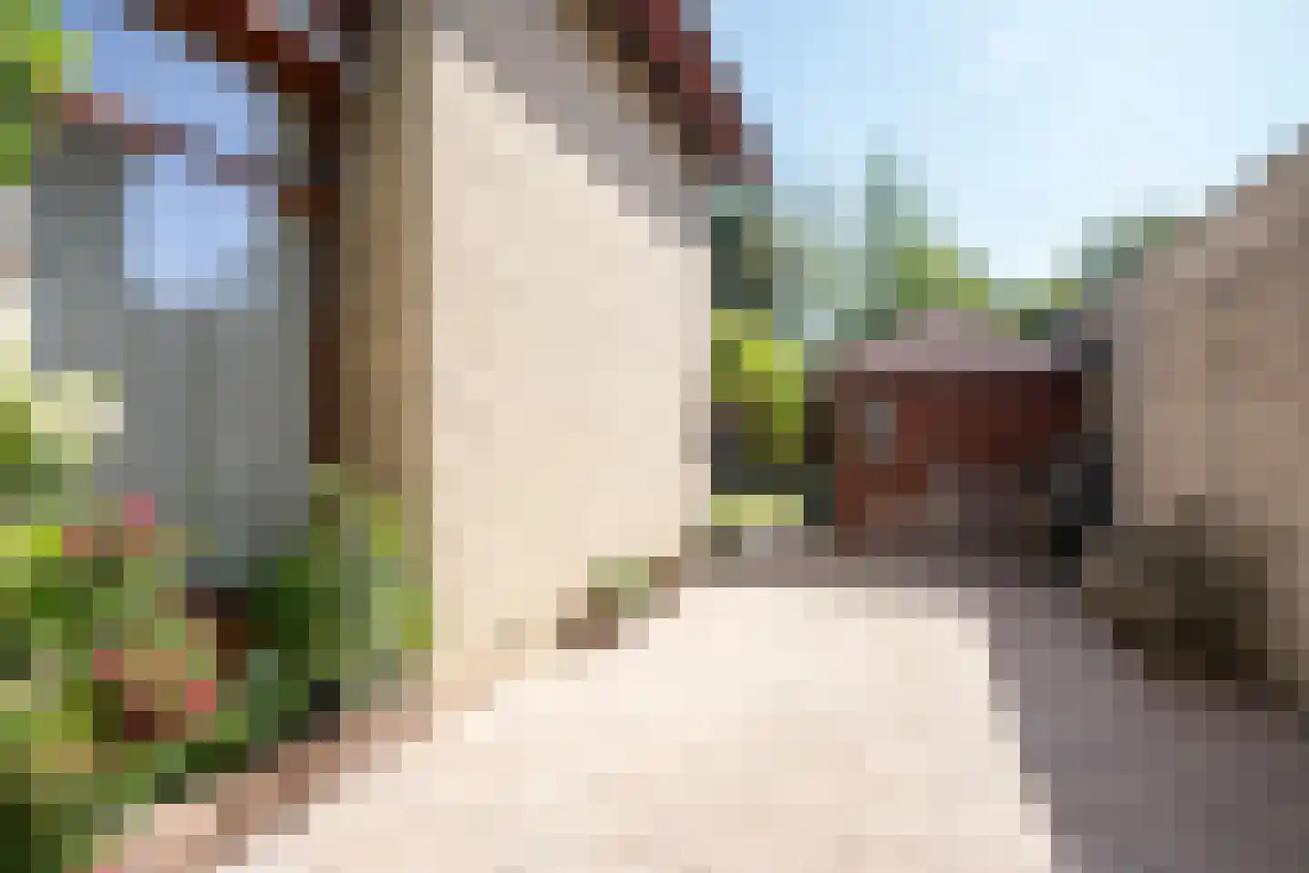 Ruijslaan 61 De Koog thumbnail 110