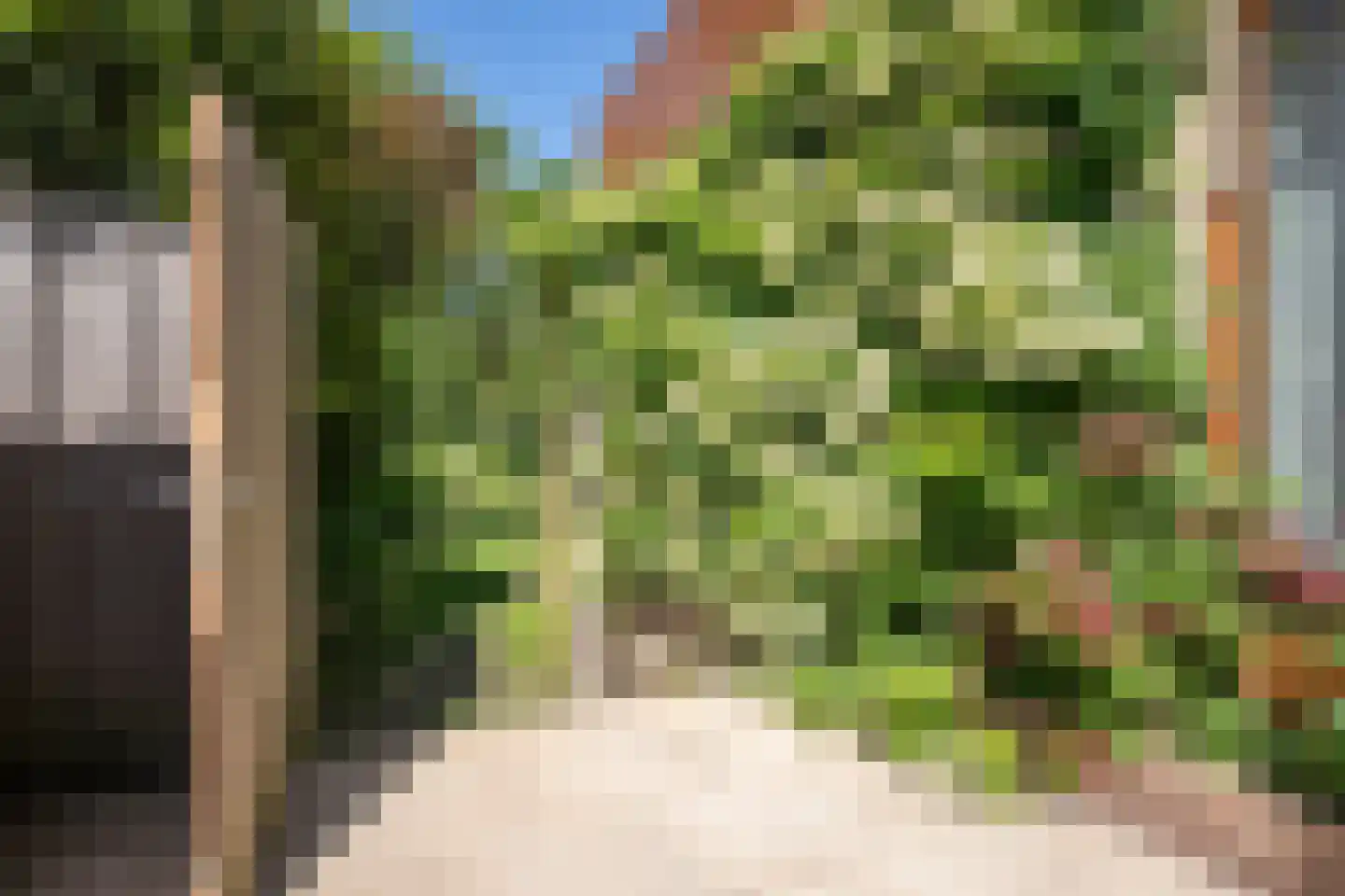 Ruijslaan 61 De Koog thumbnail 111