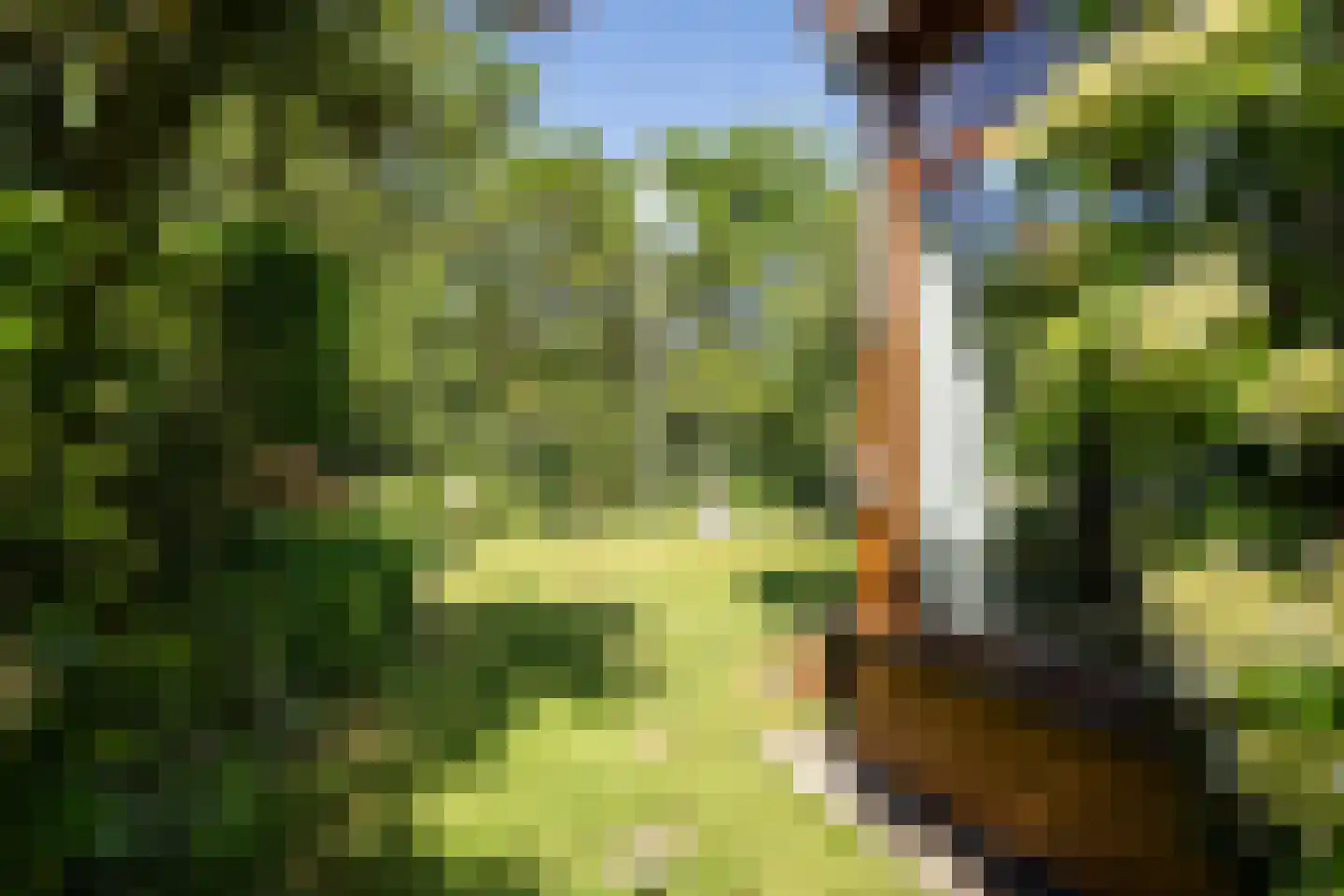 Ruijslaan 61 De Koog thumbnail 112