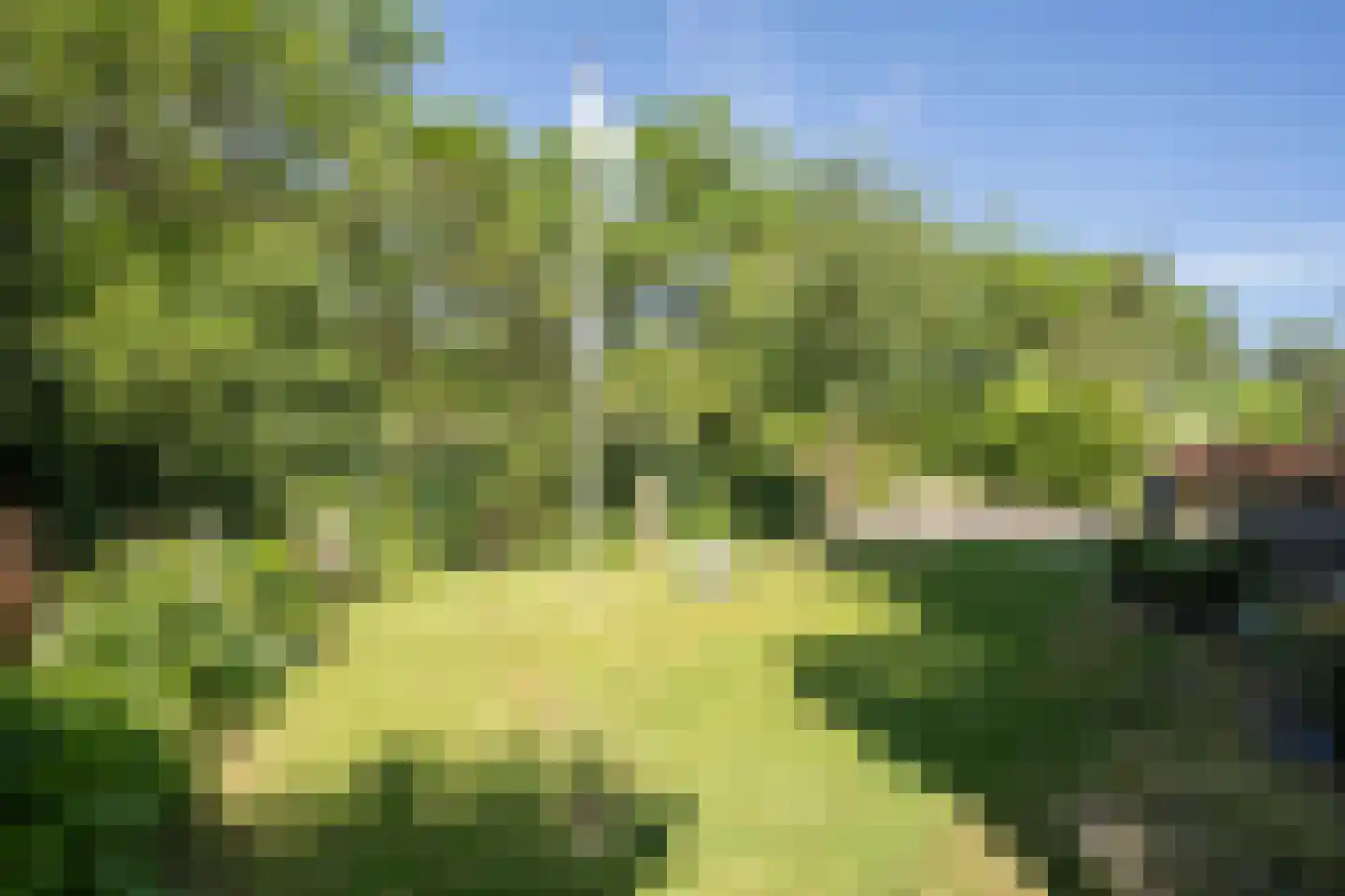 Ruijslaan 61 De Koog thumbnail 113