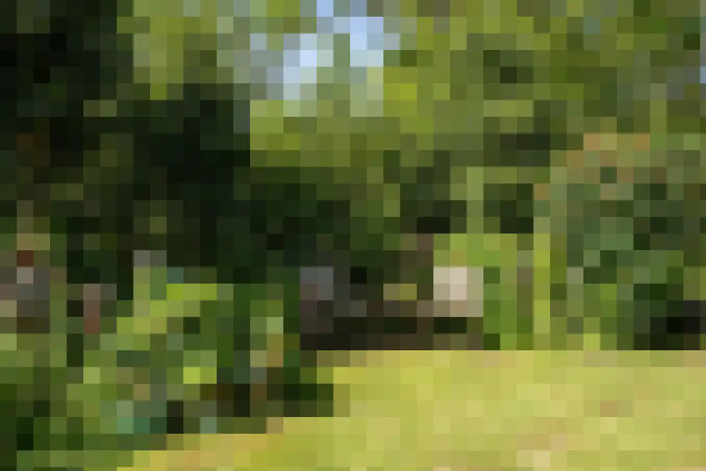 Ruijslaan 61 De Koog thumbnail 115