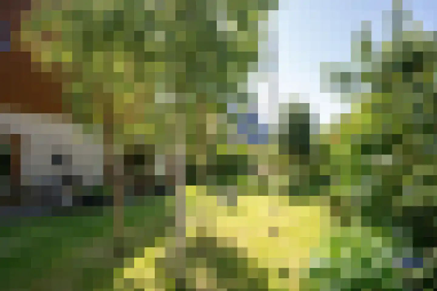 Ruijslaan 61 De Koog thumbnail 118