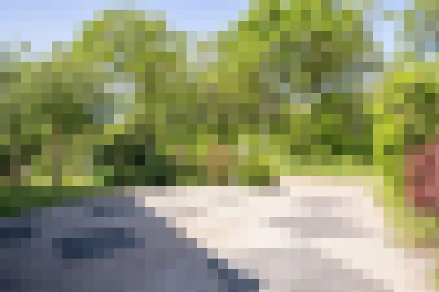 Ruijslaan 61 De Koog thumbnail 119