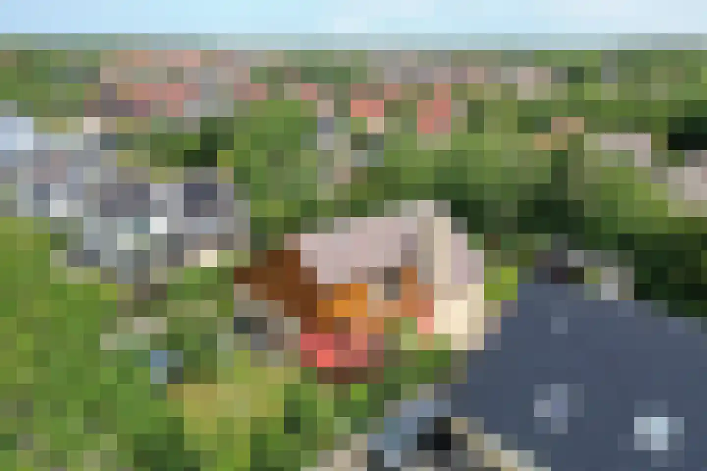 Ruijslaan 61 De Koog thumbnail 121