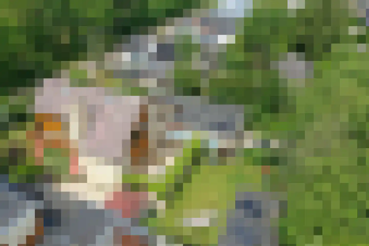 Ruijslaan 61 De Koog thumbnail 122