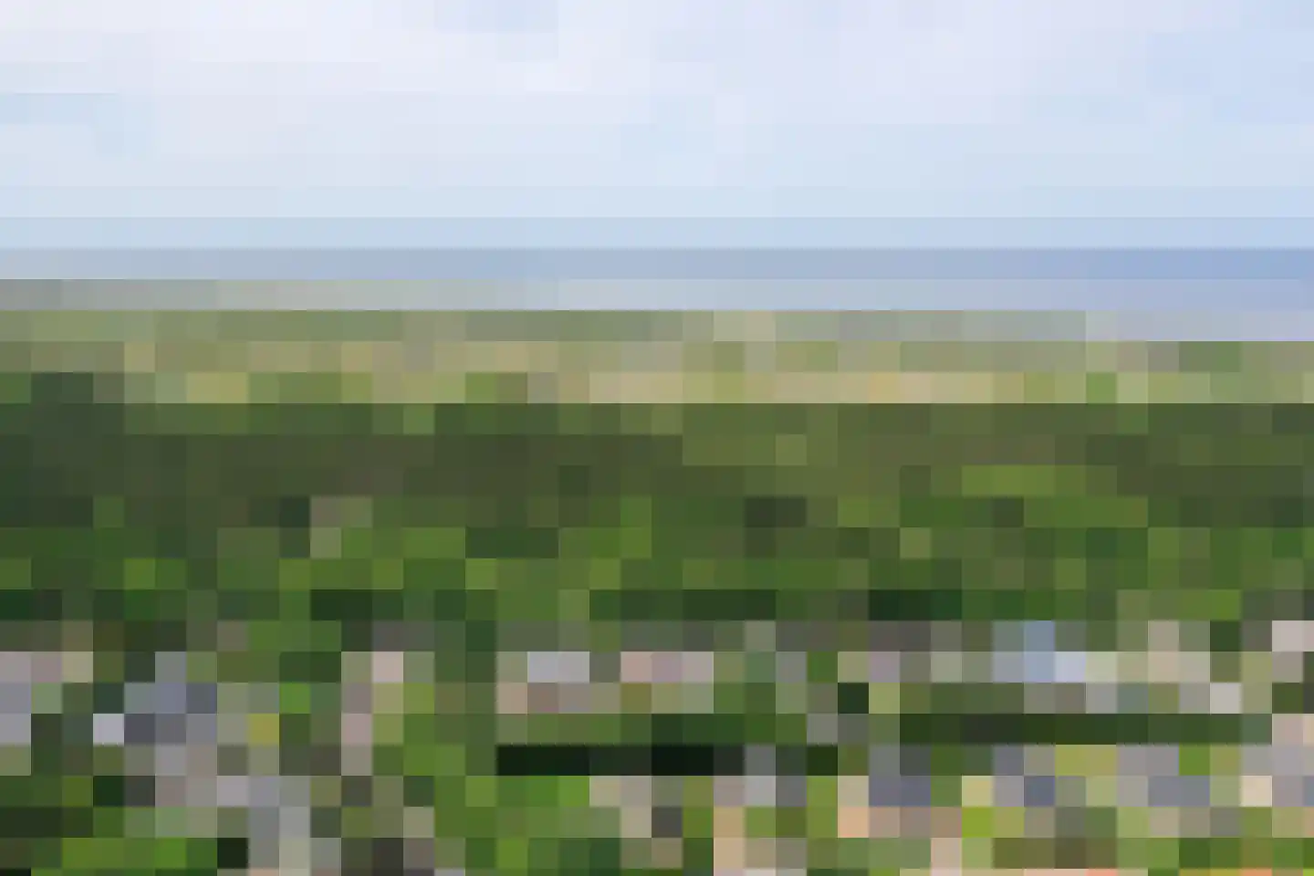 Ruijslaan 61 De Koog thumbnail 124