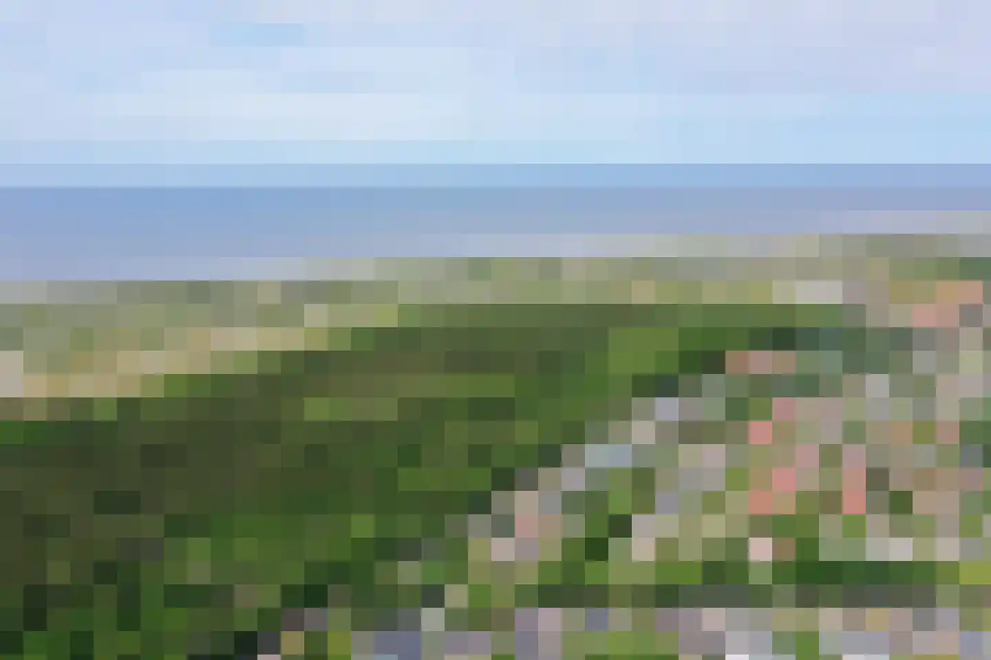 Ruijslaan 61 De Koog thumbnail 125