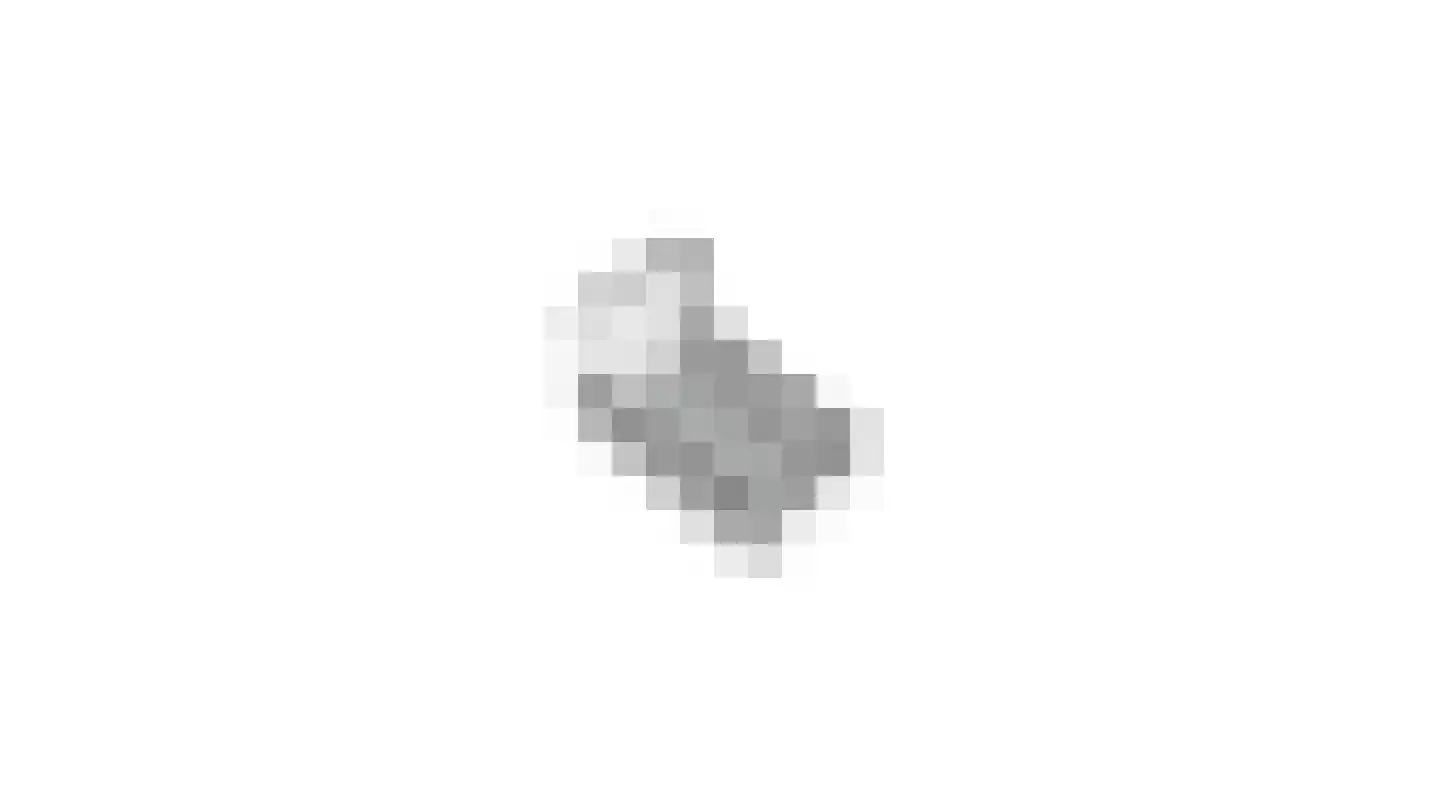 Ruijslaan 61 De Koog thumbnail 133