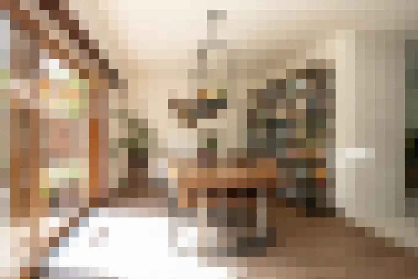 Ruijslaan 61 De Koog thumbnail 18