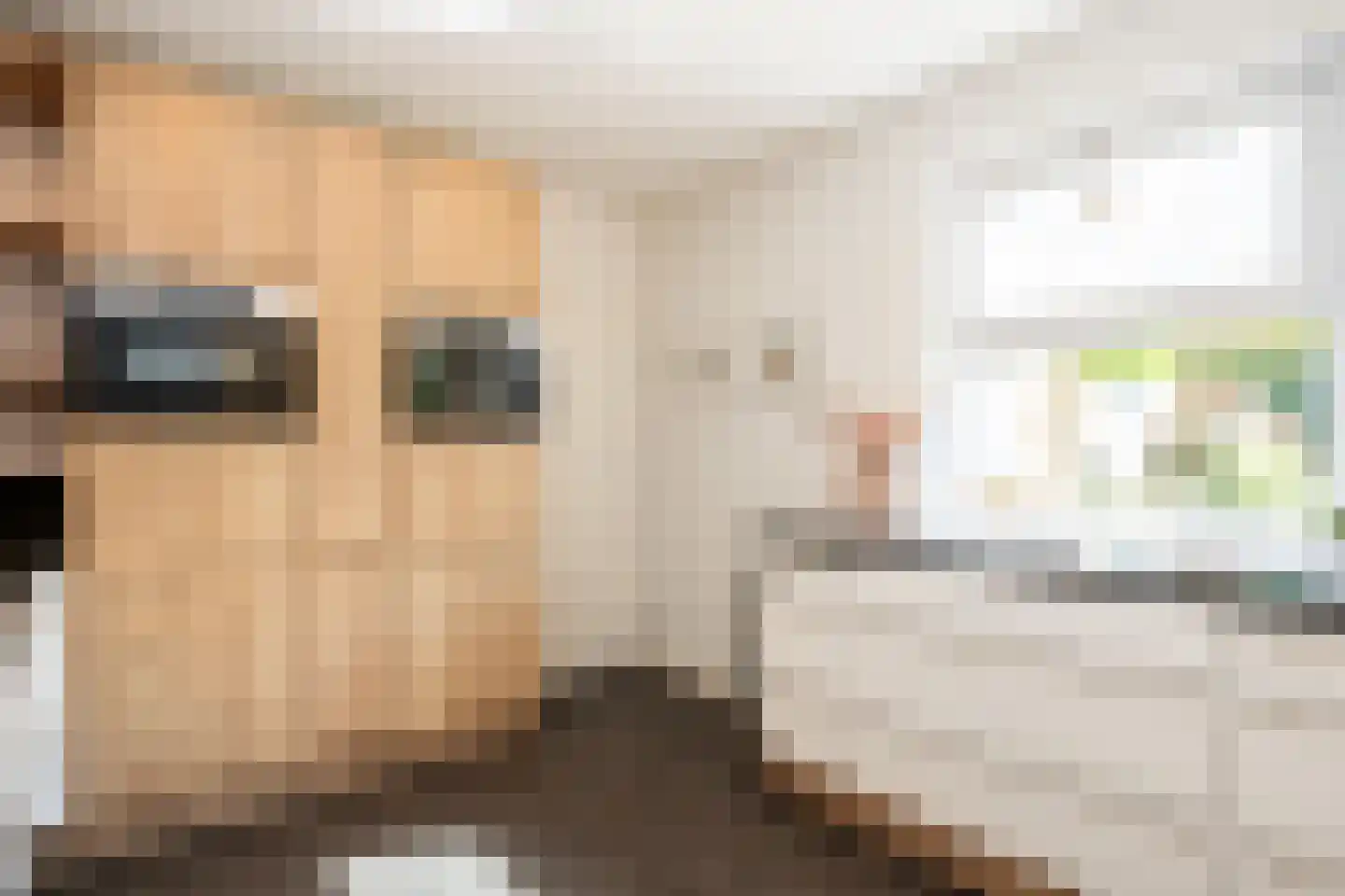 Ruijslaan 61 De Koog thumbnail 24