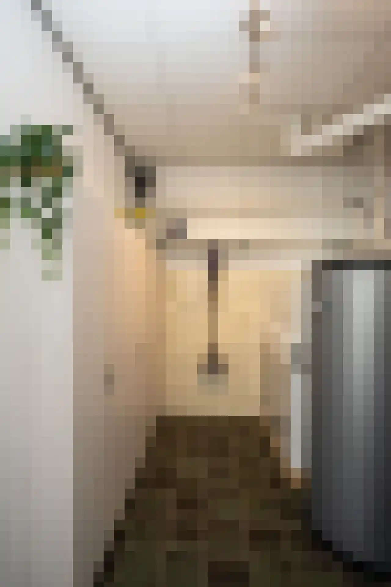 Ruijslaan 61 De Koog thumbnail 31