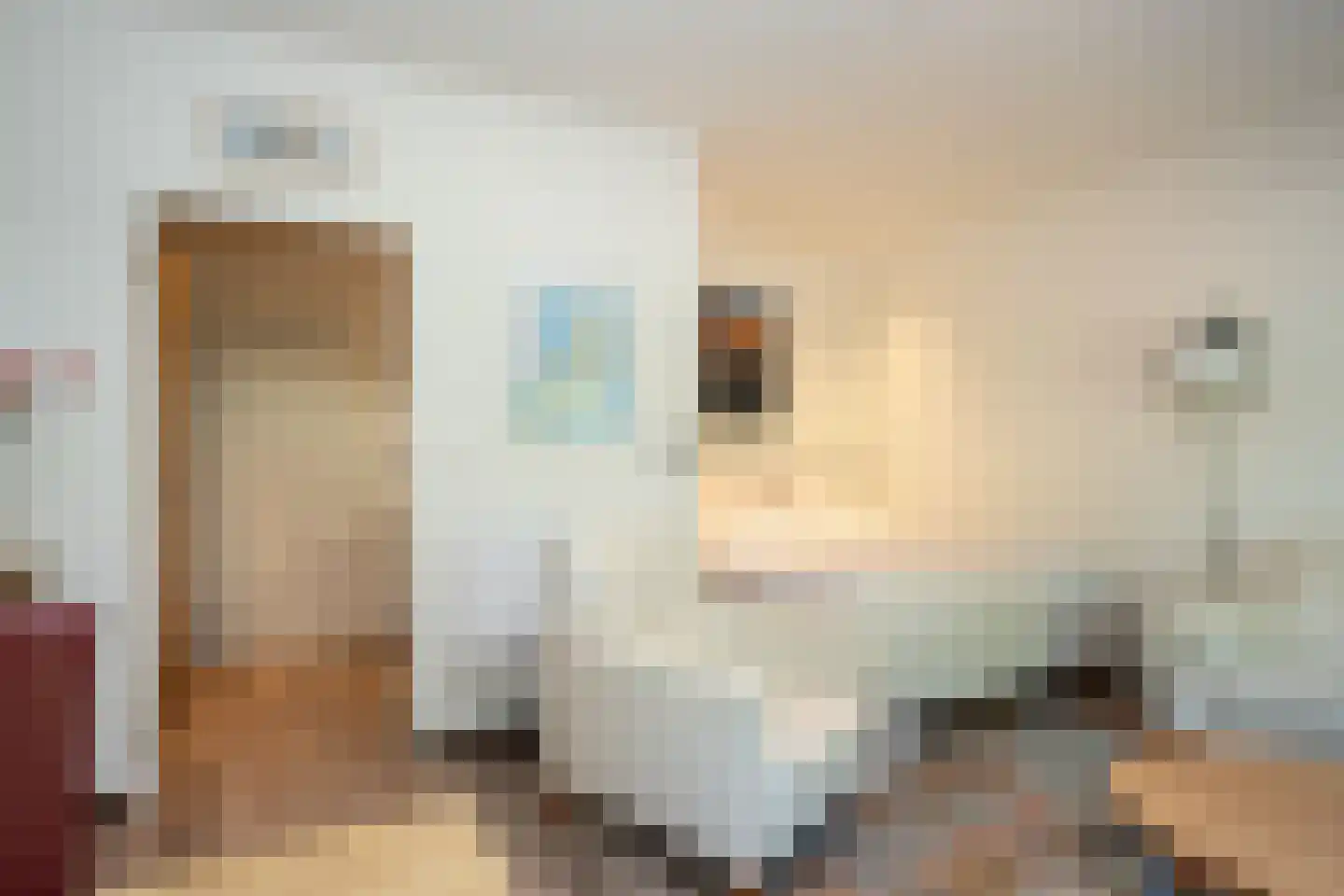 Ruijslaan 61 De Koog thumbnail 35